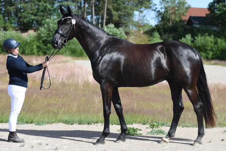 Total Hope-avkommor dominerade i Osby