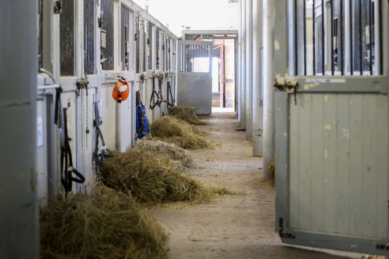 Kostar miljarder att bygga bort alla spiltor