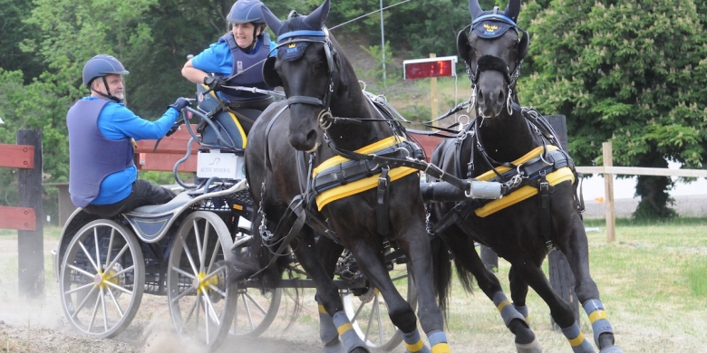 Blek svensk insats på VM i parkörning