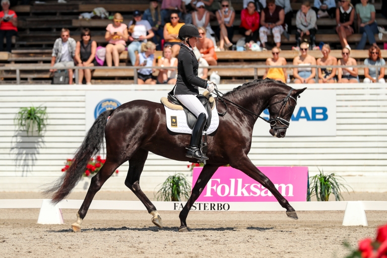 Klart för final i 4-årsdressyren