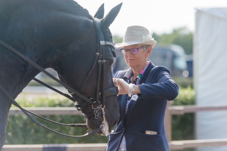 Så här arbetar FEI-kontrollanten efter ritterna