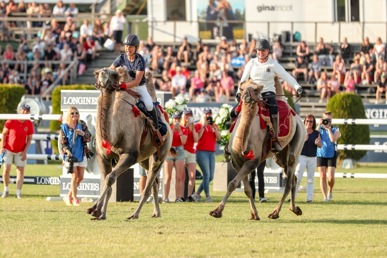 Bildfest: Häng med till Falsterbo