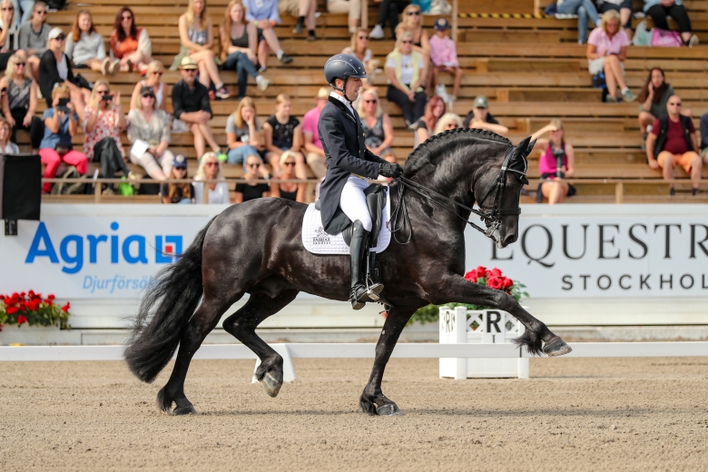 Elias 494 utsedd till årets frieserhingst