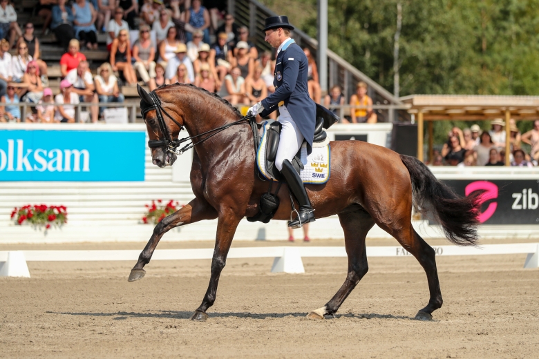 Följ dressyrens Nations Cup i Falsterbo