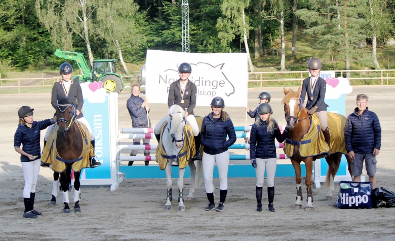 Starkt ponnylag tog guld i lag-SM
