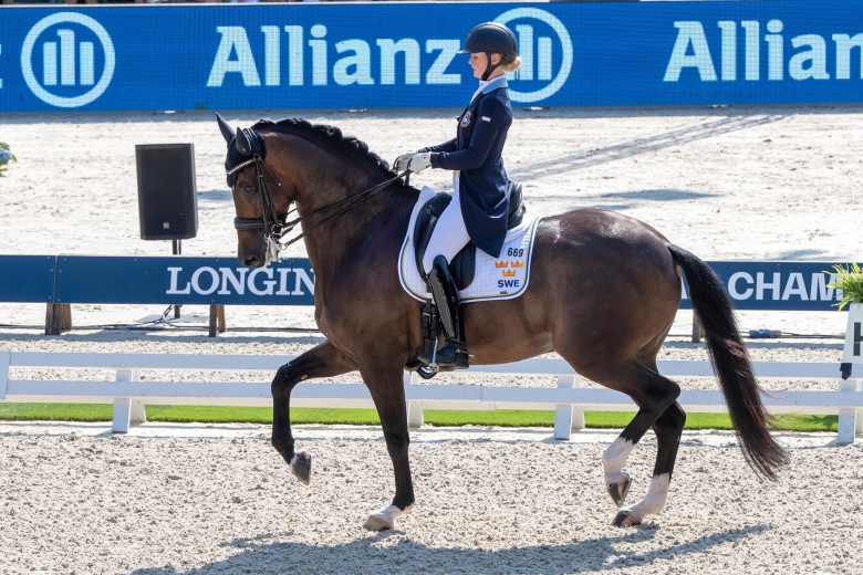 Spetstruppen levererade i Hagen