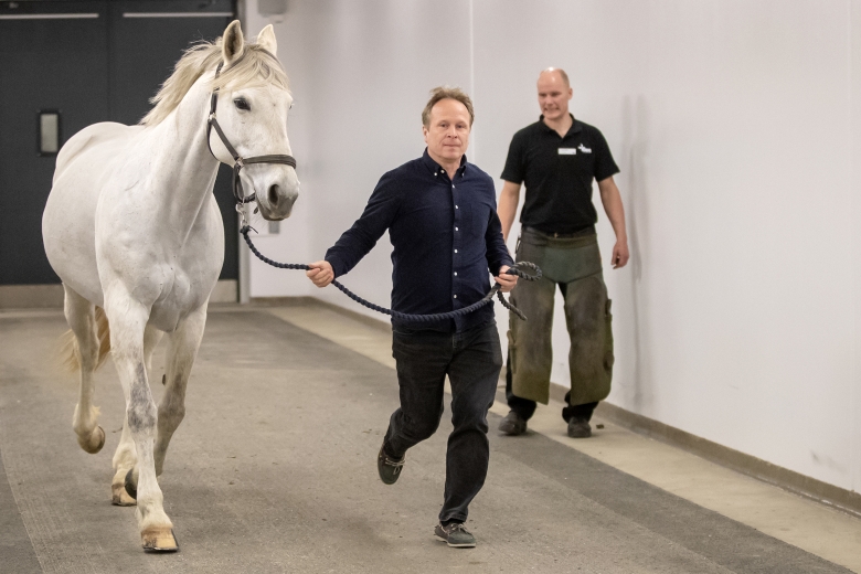 Veterinären: ”Viktigt att du som hästägare för en dialog med hovslagaren”
