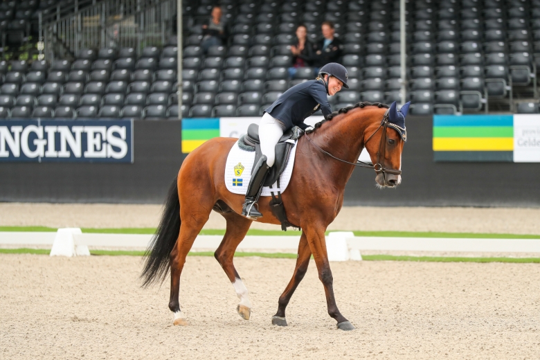UVM-finalisten Skywalker – en familjesaga