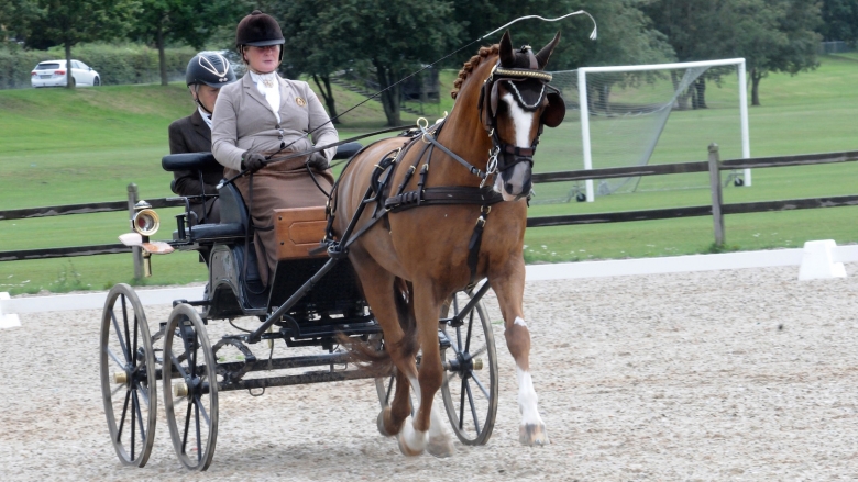 Norskt i topp på Malmö City Horsedriving