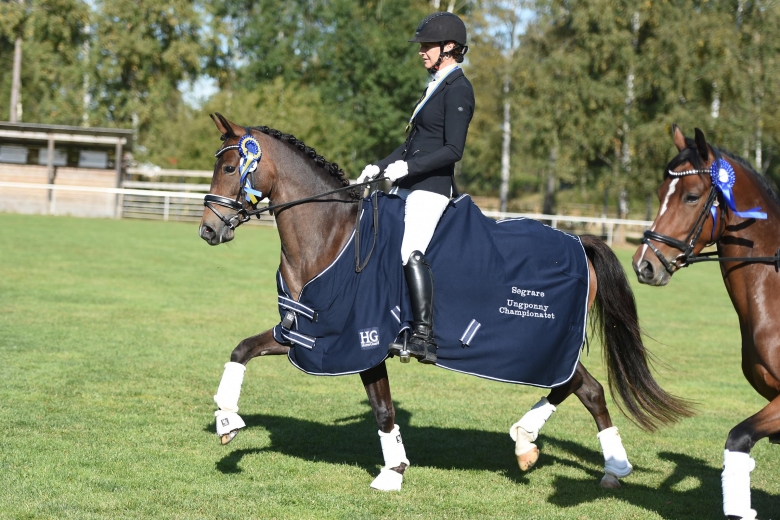 Cerwin’s Vega årets bästa 5-åriga dressyrponny