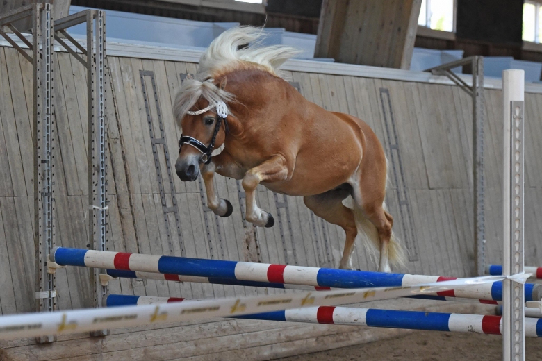 Yngve Frej bäst i 738 i litet startfält