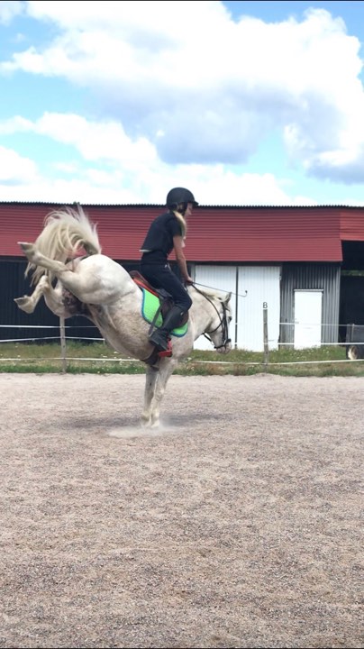 51twspark