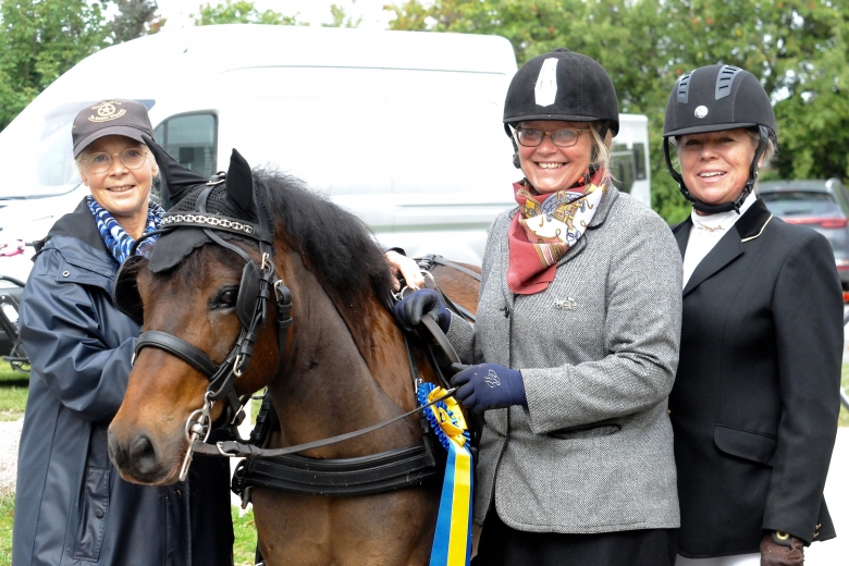 Lyckat ponnybyte för Aronsson