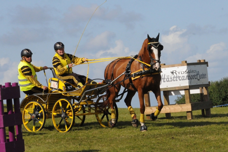 Norskt grepp på Malmö City Horse Driving
