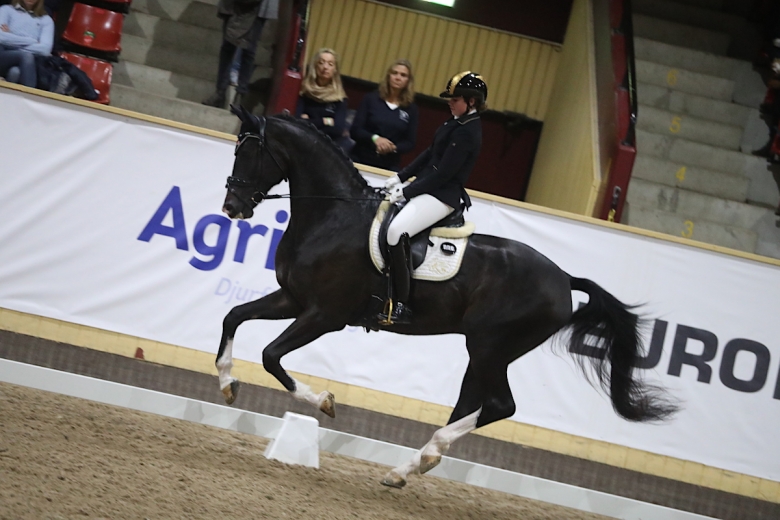 Överlägsen vinnare i 5-åringarnas kval