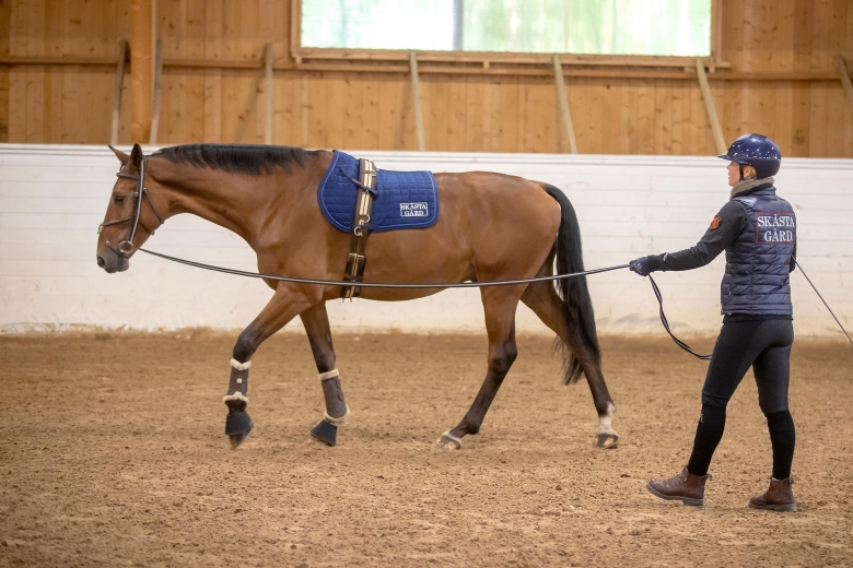 Tredje chans för hoppryttare i nya TR – kolla in ändringarna här