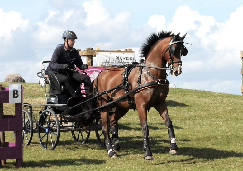 Topphäst till Jens Larsson