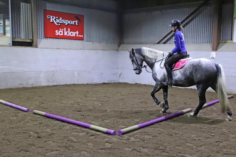 Utmaningen: Hörnrutan hjälper dig med volterna