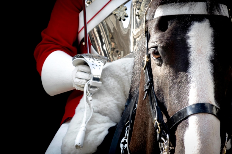 Drottning Elizabeth söker stallhjälp