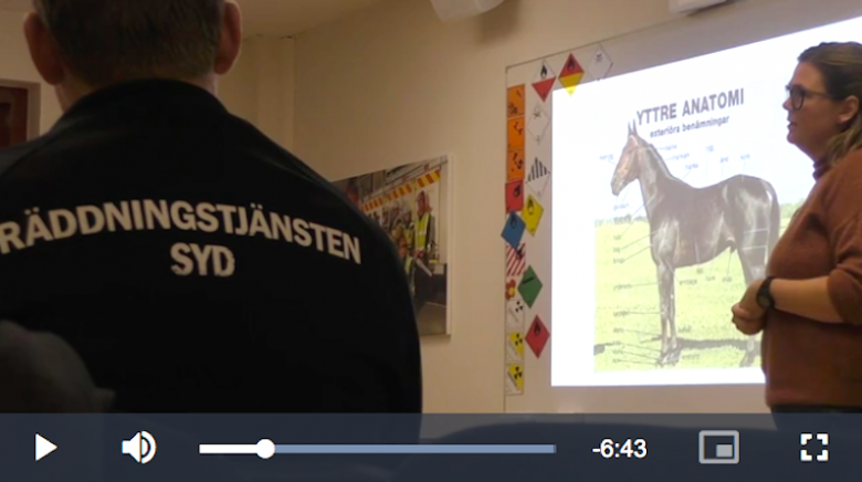 Kolla in djurlivräddarnas bästa tips