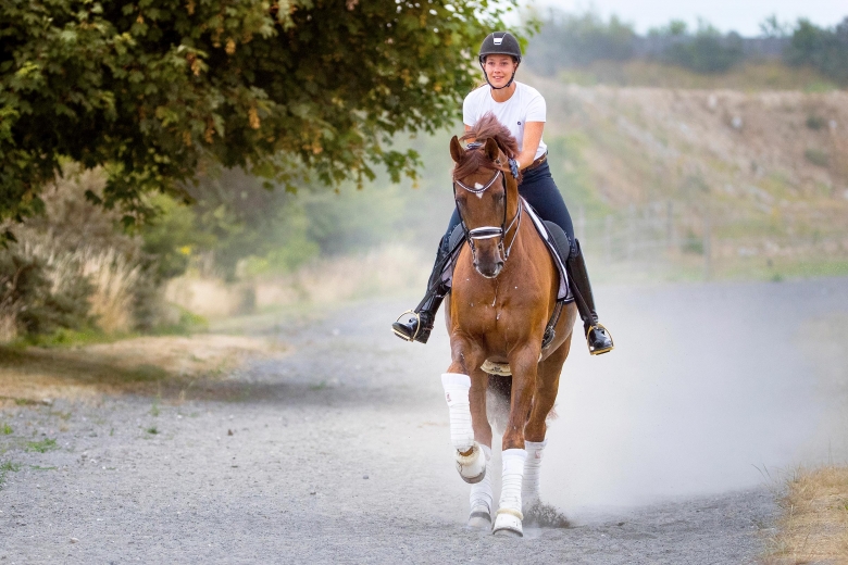 Dufour satsar på Bohemian till OS