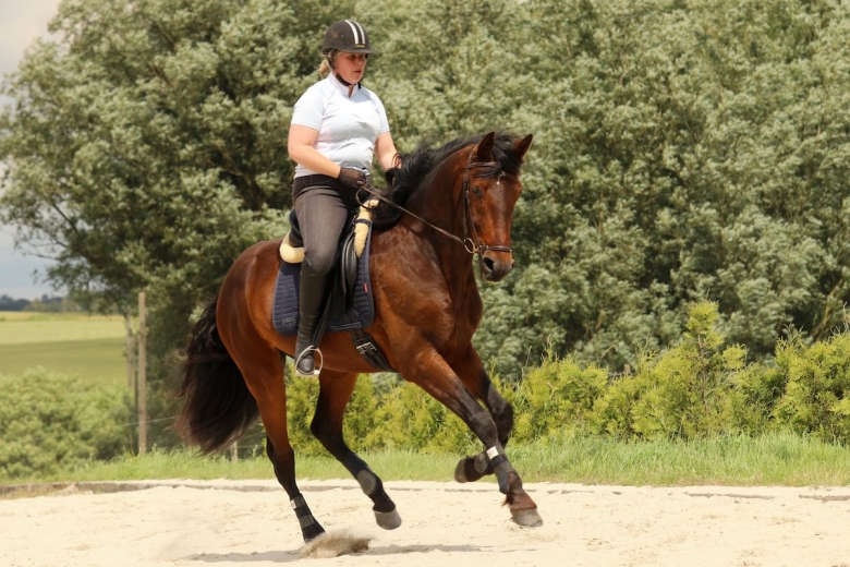 WE-kommitténs ordförande: ”Kraftig expansion”