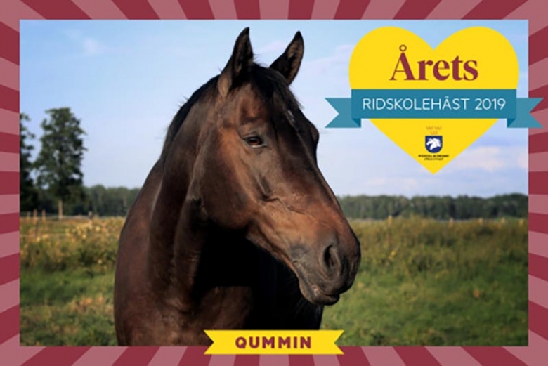 Årets ridskolehäst är utsedd