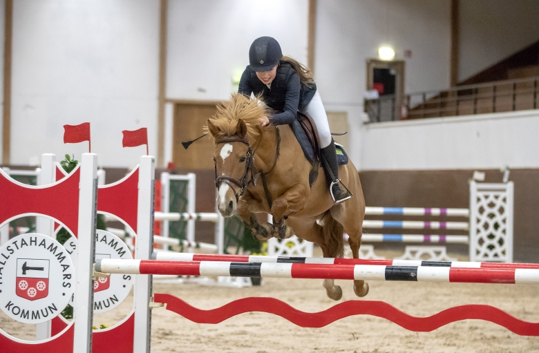 Åtta ponnyryttare klara för Friends