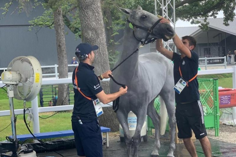 OS-veterinären: ”Ryttarna ska rida med dunjacka och cykla i bastu”