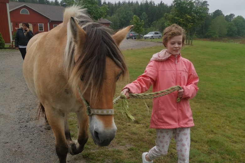 Insamling räddade häst åt cancersjuka 13-åringen
