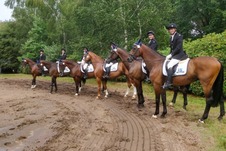 Svensk satsning på European Cup