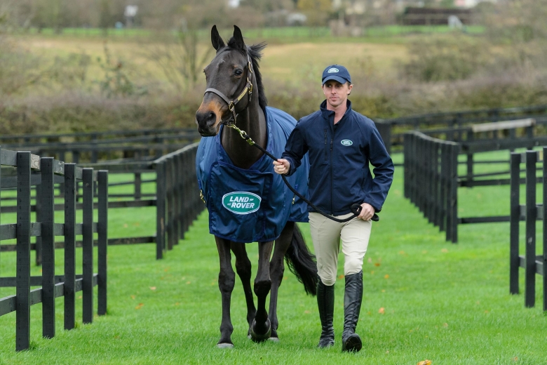 Ben Maher – britten som bara jobbar på