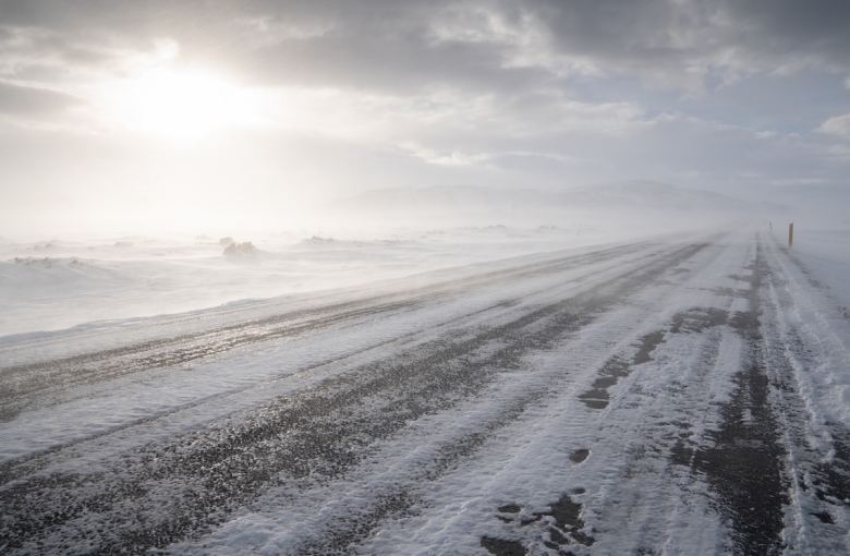 Många hästar döda i snöstorm