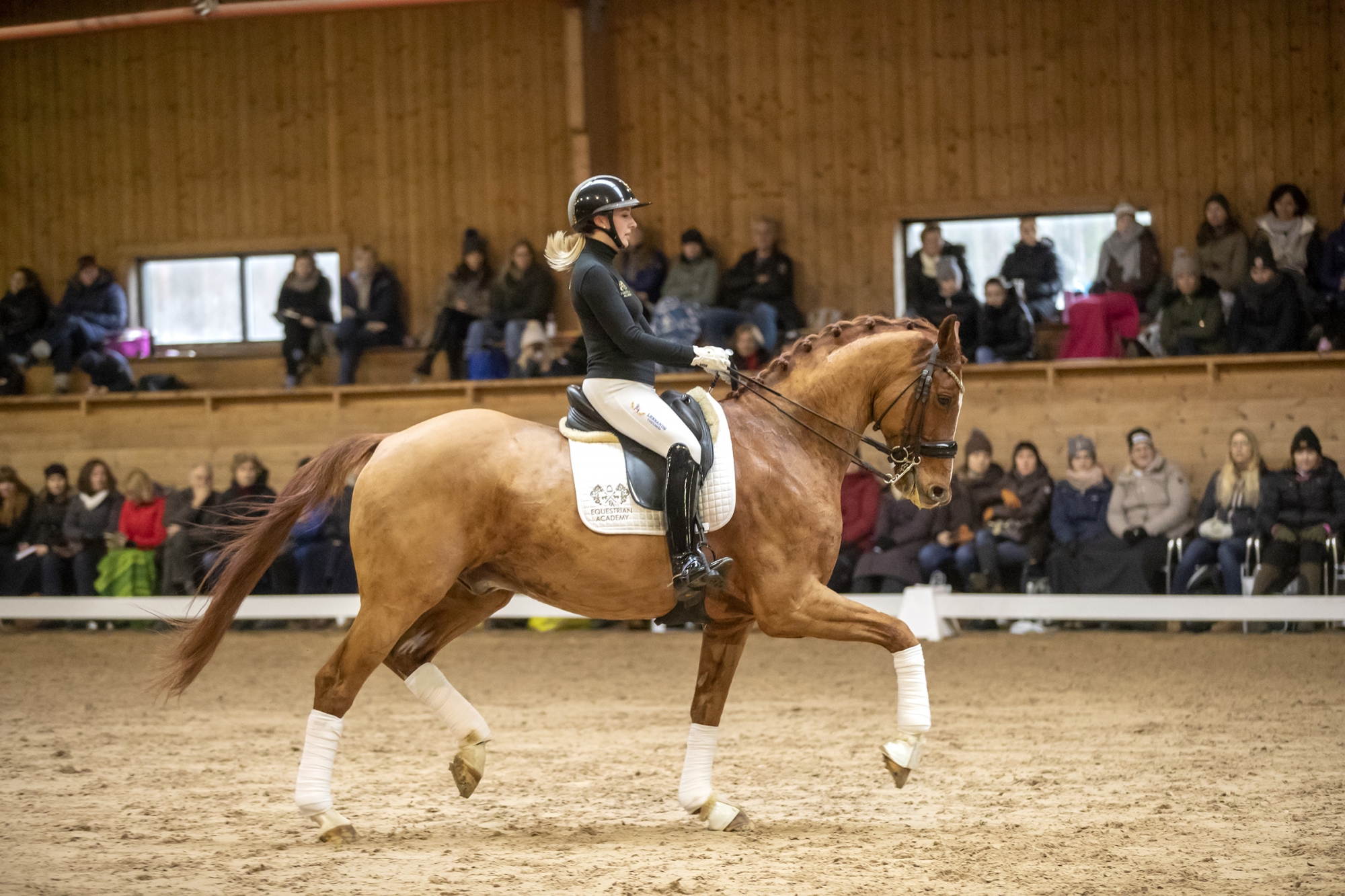 Equestrian Sport