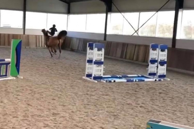 Kolla klippet: Balansuppvisning av rang på Lickhammers unghäst