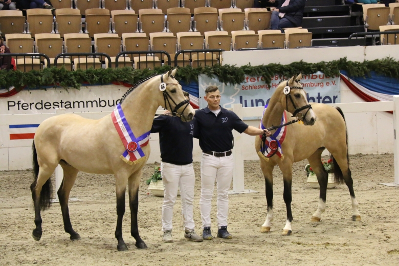 Ännu en segerhingst efter FS Chambertin