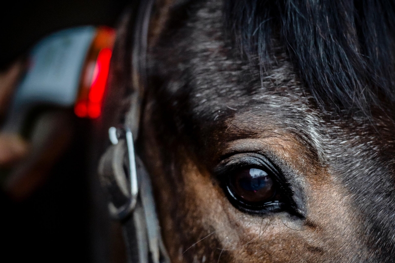 Ljusterapi hjälpte inte vid sårläkning