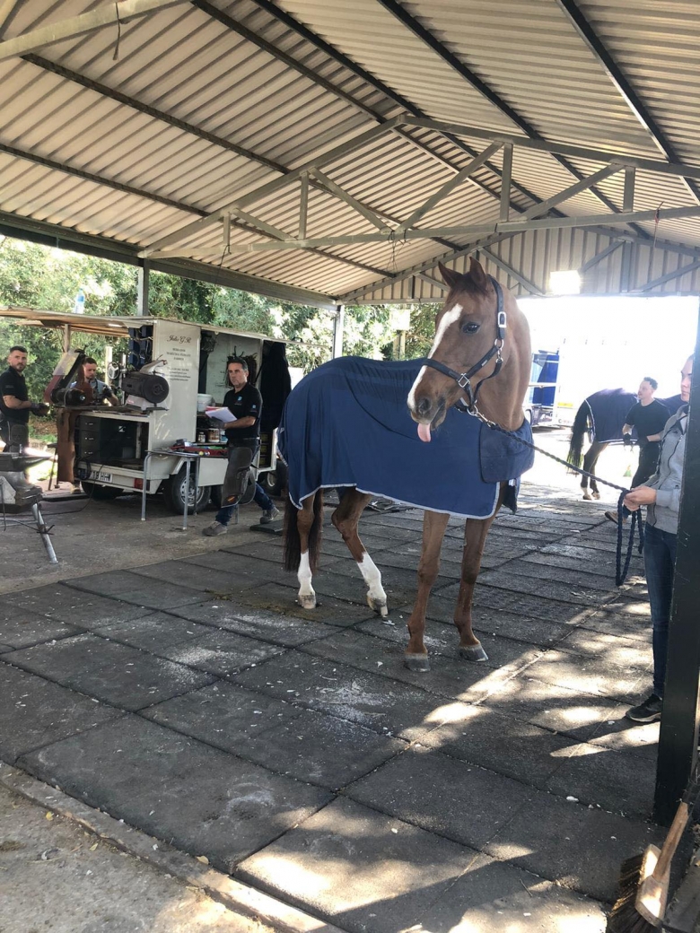 Vändning i dramat – Charmonix CC kan vara på väg hem