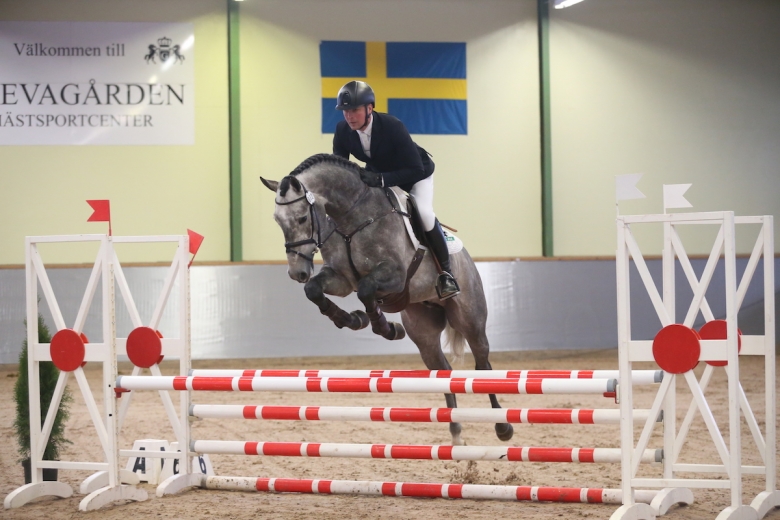 Sista chansen för hopphingstarna – så gick det