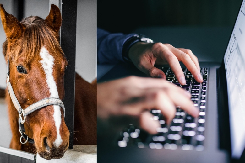 IT-experter: Säkerhetsbrister i stor ridskoletjänst