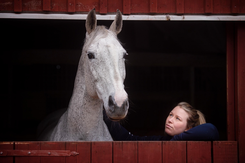 Hon betalade över 40 000 för att få stoet dräktigt