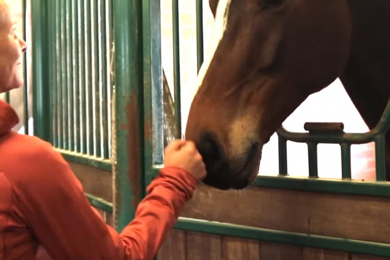 Kolla klippet: Stall-tour hos Malin Baryard