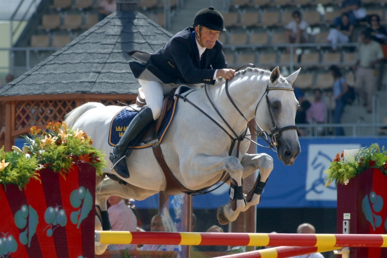 Favorit i repris blev Årets hingst i SWB