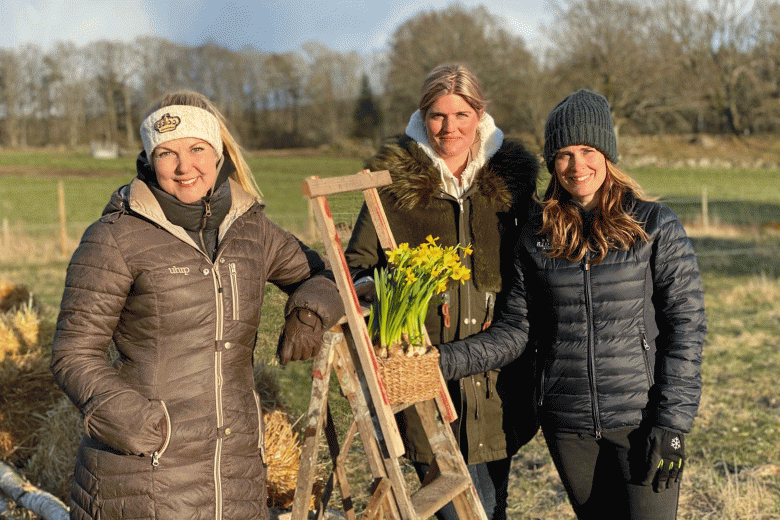 Vi med häst – nytt kunskapsforum för gröna hästmänniskor