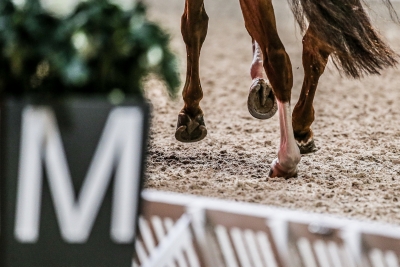 Tidigt ponny-SM påverkar skolgången: ”Press och stress”