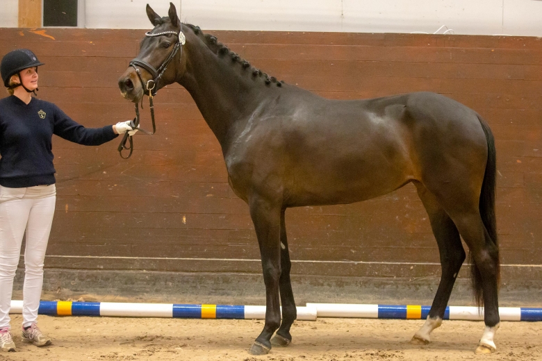 Fairytale af Ekeby går i mammas fotspår