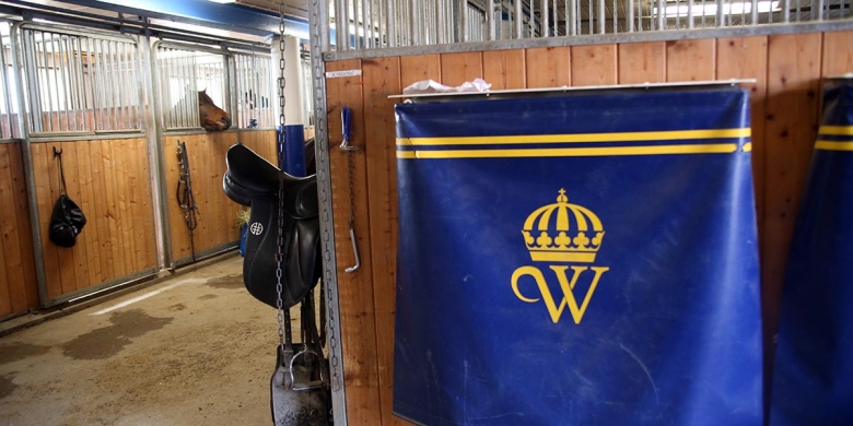 Stort intresse för nystartad utbildning på Wången