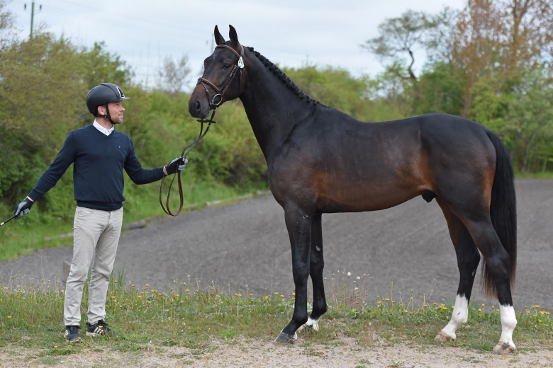 Silentio QRE fortfarande obesegrad