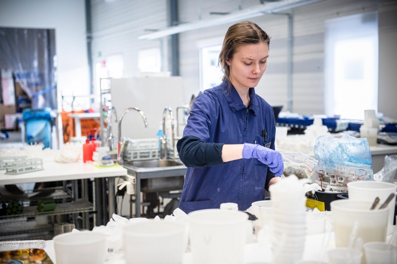 På jakt efter parasiter