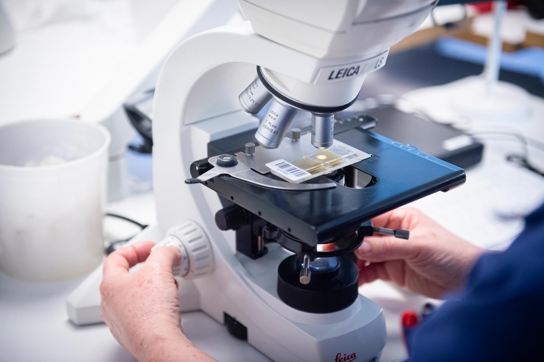 Veterinären: ”Rätt preparat för rätt tillfälle”